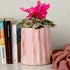 Pink Frontier Ceramic Planter - The Earth Store - Planter
